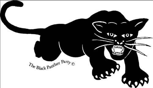Black Panther
